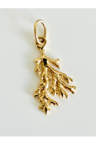 Pendentif corail